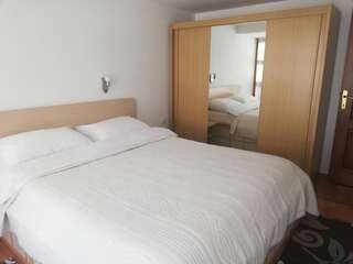 Апартаменты Apartments Šćepanović Колашин Апартаменты с 1 спальней и террасой-14