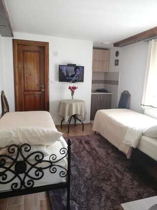 Апартаменты Apartments Šćepanović Колашин Апартаменты-студио-4