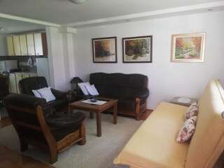 Апартаменты Apartments Šćepanović Колашин Апартаменты с 1 спальней и террасой-26