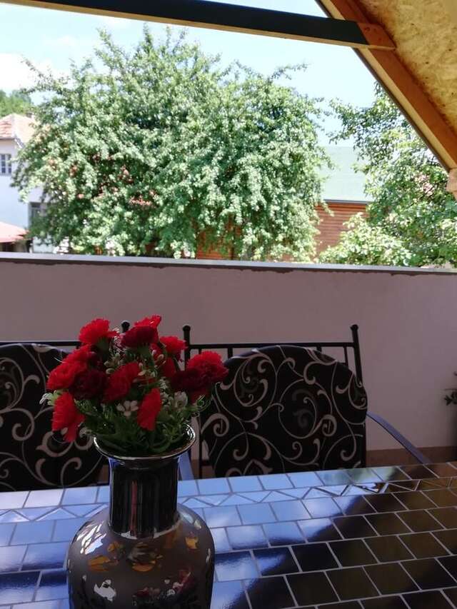 Апартаменты Apartments Šćepanović Колашин-45